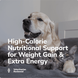 Miracle Vet Liquid Weight Gainer for Dogs & Cats - High-Calorie Nutritional Support for Weight Gain & Extra Energy