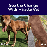 Liquid Weight Gainer for Dogs & Cats - See the Change with Miracle Vet