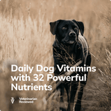 Miracle Vet Healthy Multivitamin Treats - Daily Dog Vitamins with 32 Powerful Nutrients