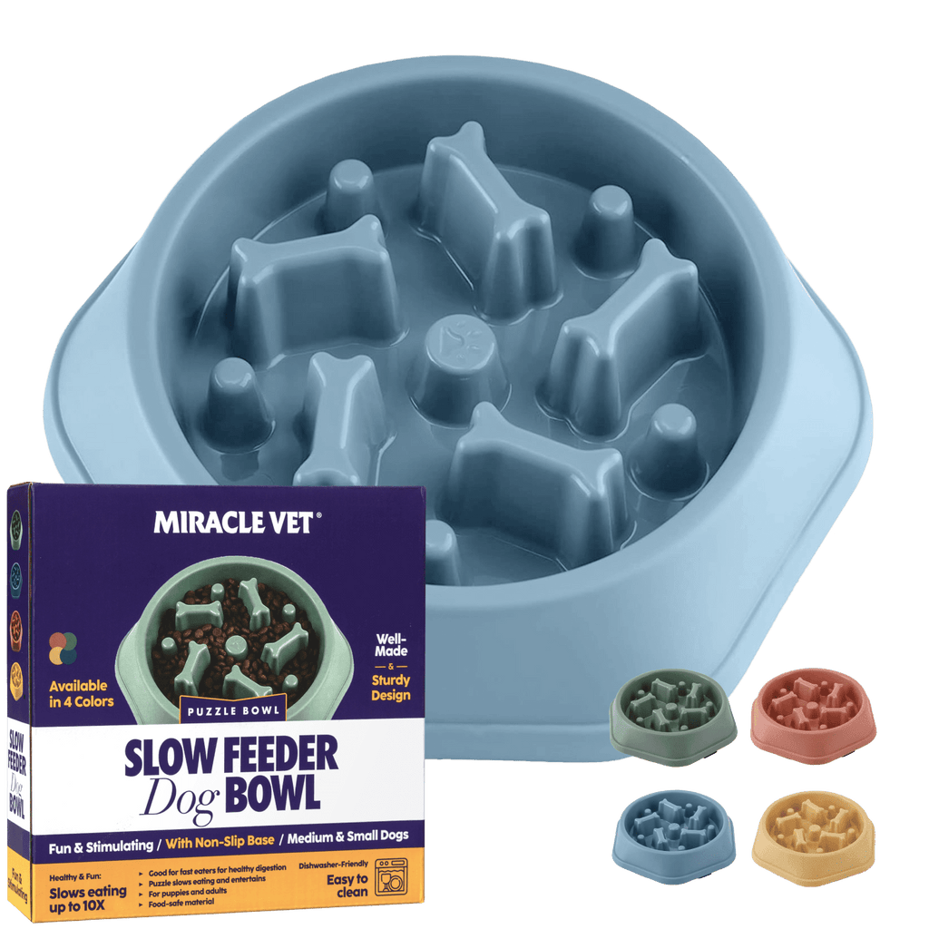 Miracle Vet Slow Feeder Dog Bowl/Dog Puzzle
