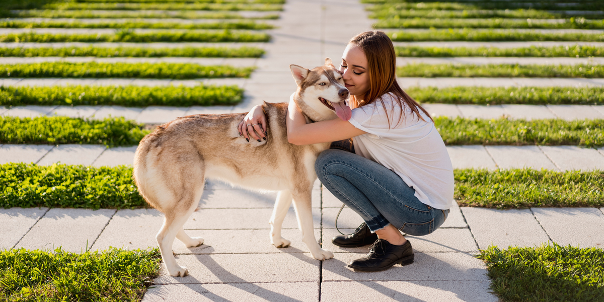 healthy dog and owner