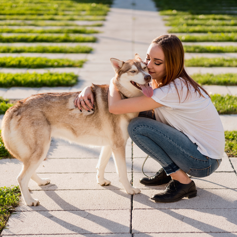 healthy dog and owner