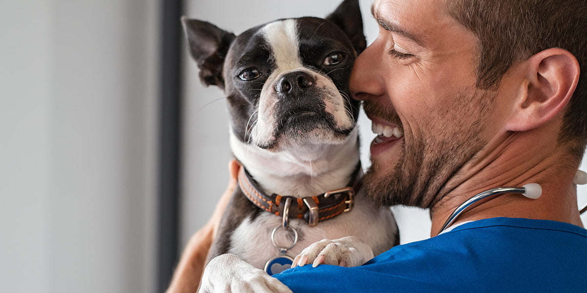 7 Questions Vets Want You to Ask About Your New Puppy