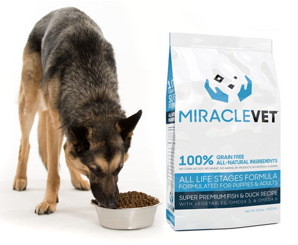 10 Ingredients To Look For In A Healthy Dog Food