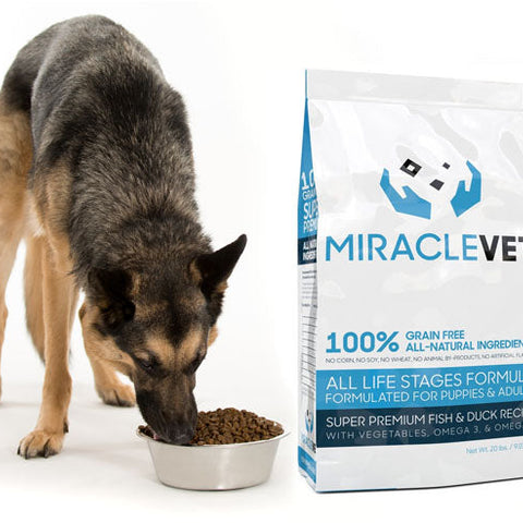 10 Ingredients To Look For In A Healthy Dog Food