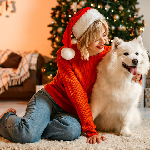 christmas with your dog
