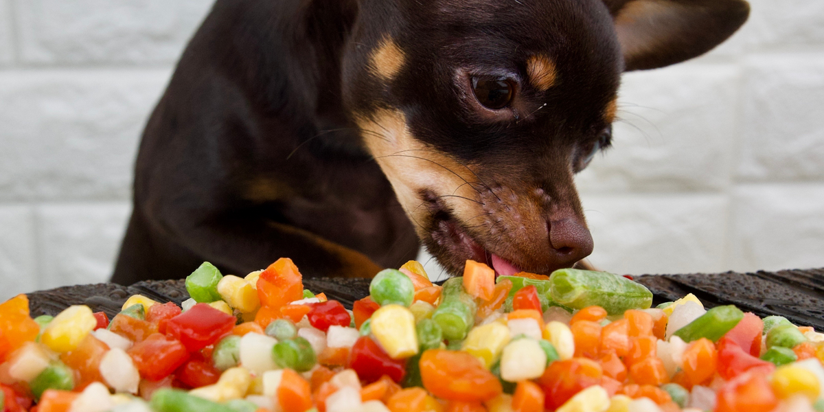 can dogs eat carbohydrates