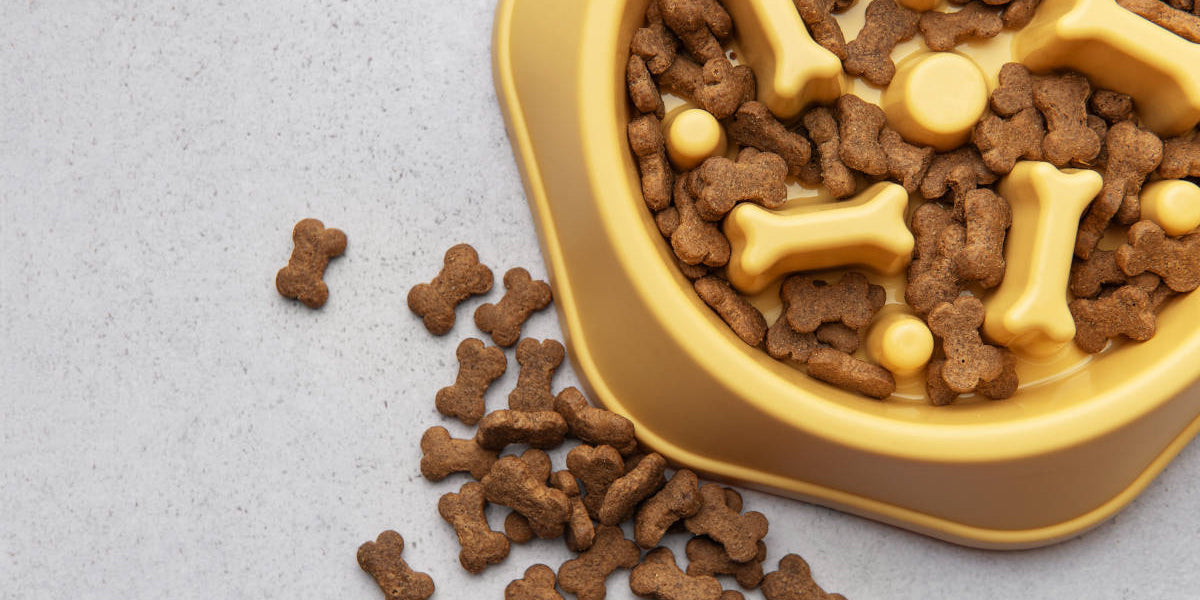 Yellow slow feeder dog bowl