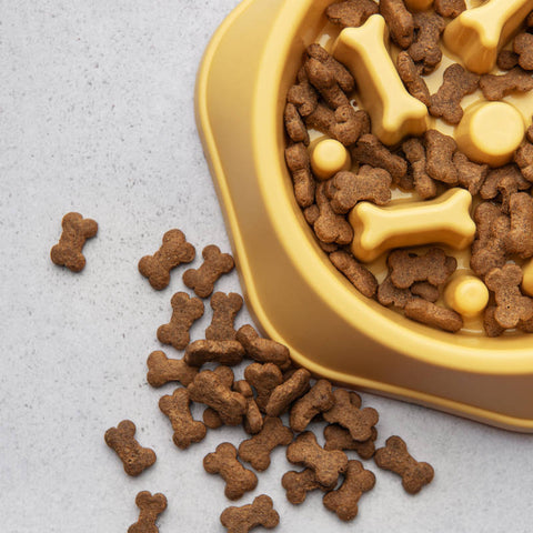 Yellow slow feeder dog bowl