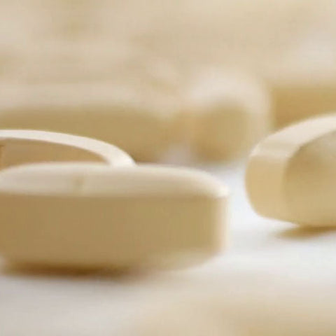 B12 Deficiency in Dogs