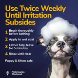 Medicated Anti-Itch Dog Shampoo