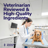Medicated Anti-Itch Dog Shampoo