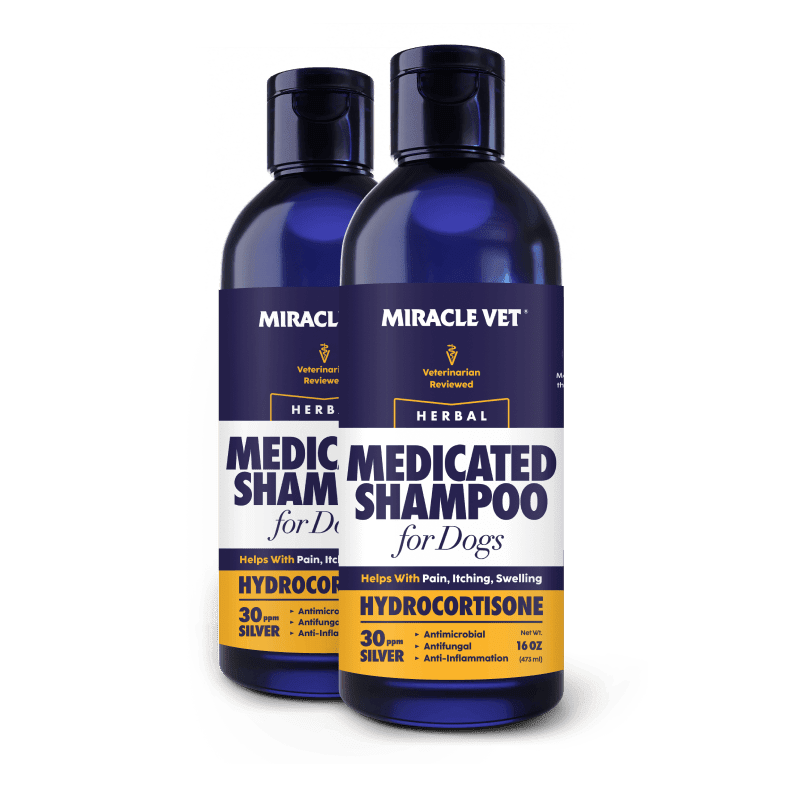 Medicated Anti-Itch Dog Shampoo