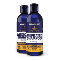 Medicated Anti-Itch Dog Shampoo