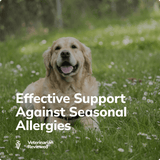 Miracle Vet Allergy & Immune Chews for Dogs - Effective Support against Seasonal Allergies