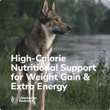 Miracle Vet Dog Food - High-Calorie Nutritional Support for Weight Gain & Extra Energy