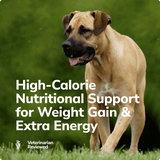 Miracle Vet Liquid Weight Gainer for Dogs & Cats - High-Calorie Nutritional Support for Weight Gain & Extra Energy