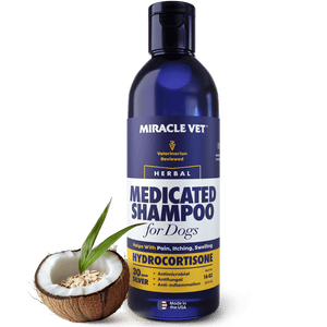 Medicated Dog Shampoo for Yeast Infection & Allergies