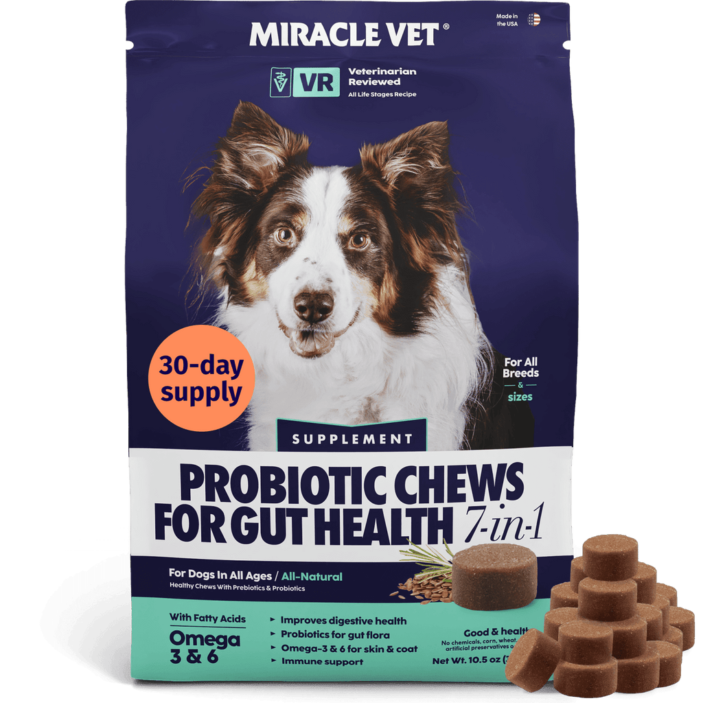 Probiotic Chews for Gut Health 7-in-1