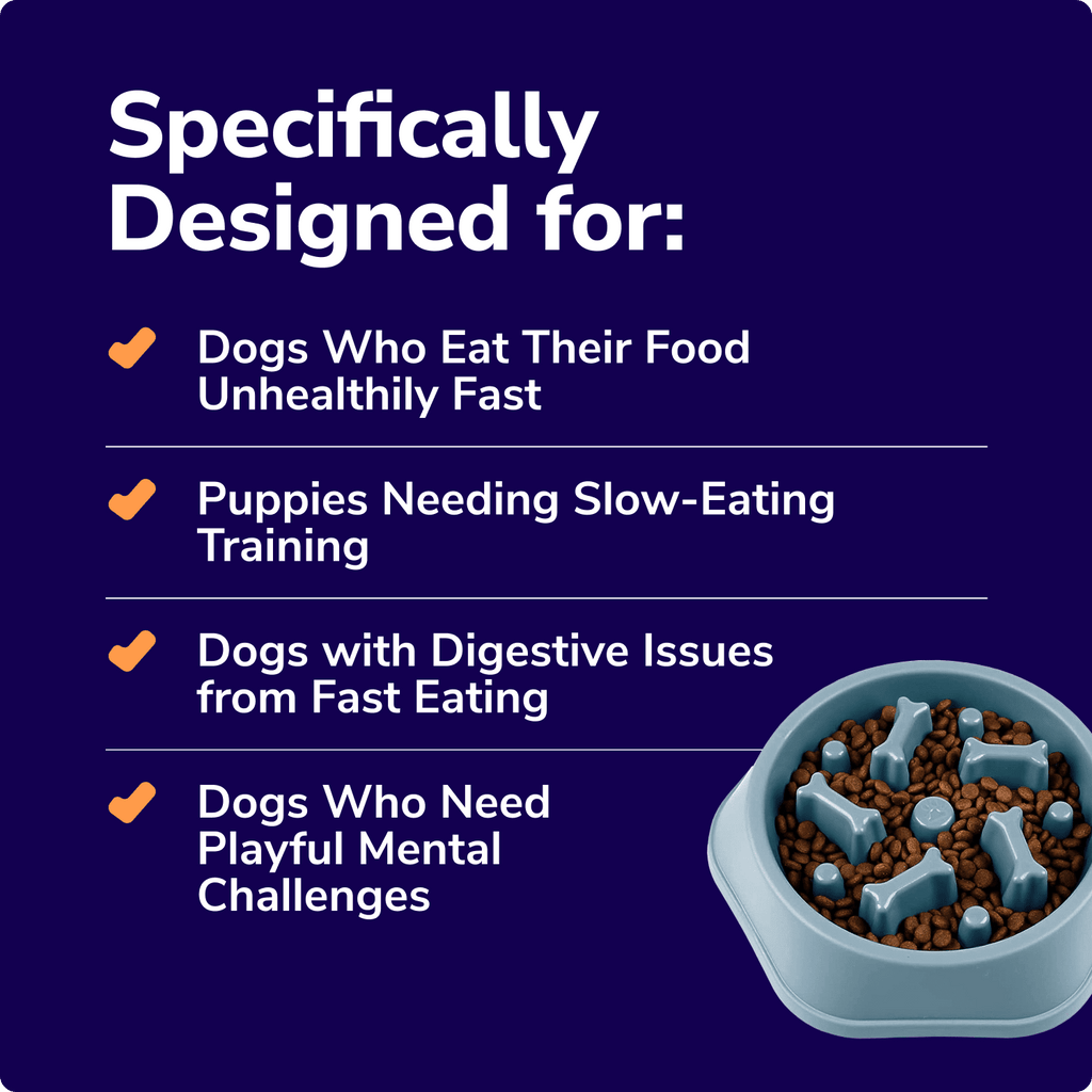 Picture of Fun Slow Feeder Dog Bowl/Dog Puzzle | Promoting Healthy Digestion