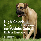 Miracle Vet Weight Gain Treats - High-Calorie Nutritional Support for Weight Gain & Extra Energy