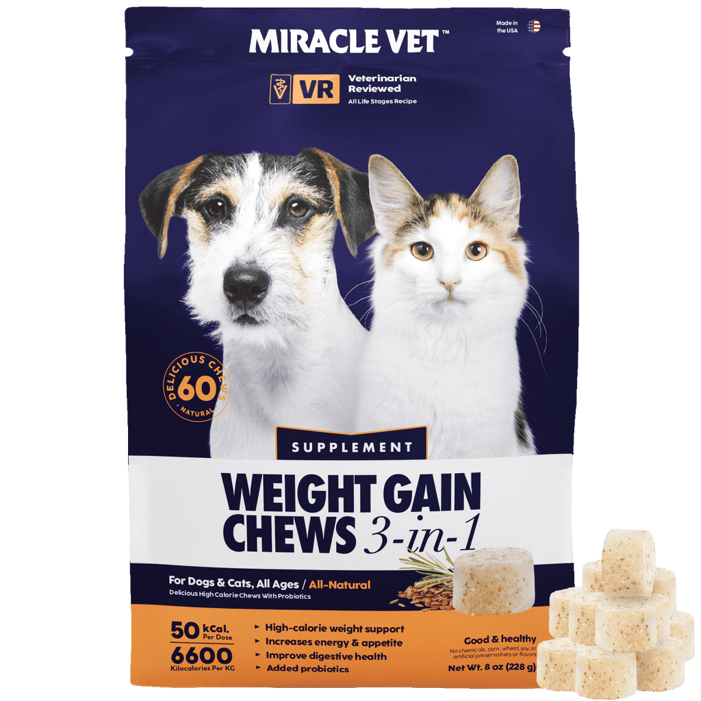 High-Calorie Chews for Weight Gain