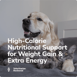 Miracle Vet Weight Gain Treats - High-Calorie Nutritional Support for Weight Gain & Extra Energy